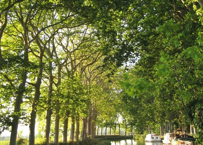 Bed and breakfast Comme A La Maison - 2 Et 1 Salon Carcasona